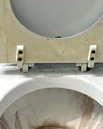 Toilet bowl with a dark mineral ring before cleaning