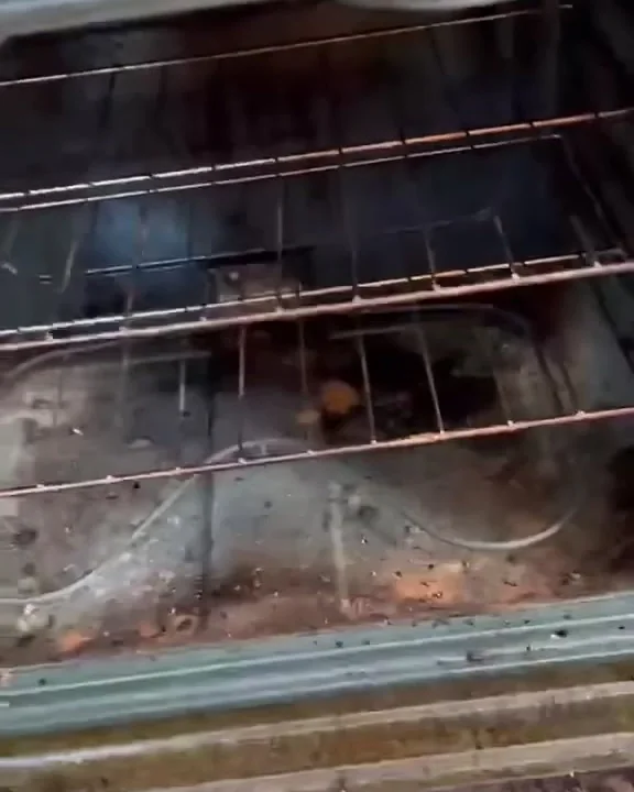 Oven interior with baked-on grease and debris on the floor and racks